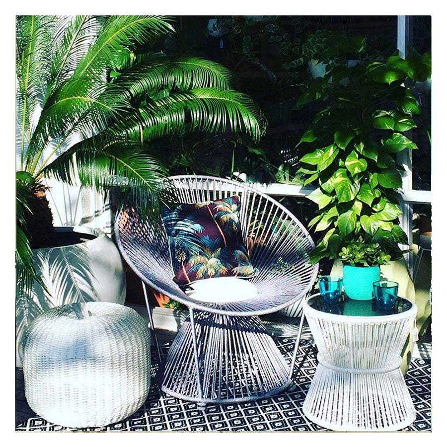 cushion-cover-with-piping-palm-trees-black-60cm-x-60cm