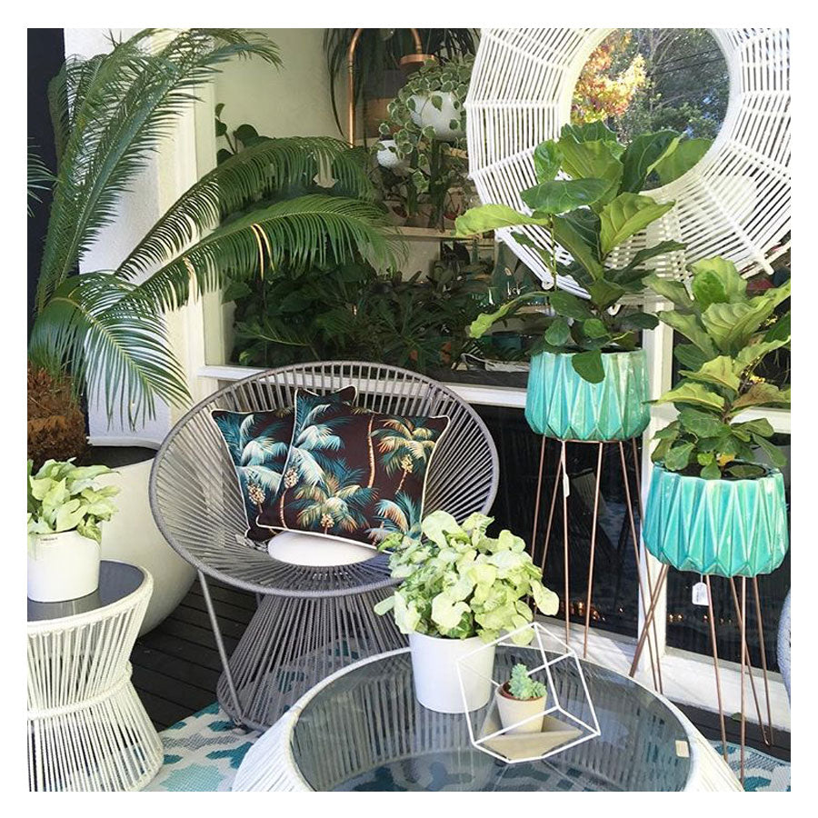 cushion-cover-with-piping-palm-trees-black-60cm-x-60cm