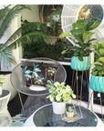 cushion-cover-with-piping-palm-trees-black-45cm-x-45cm