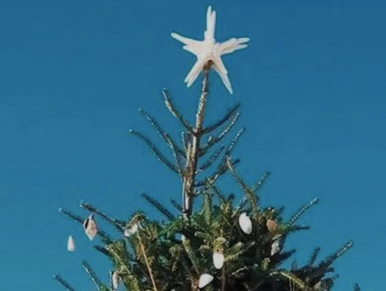 Christmas Entertaining