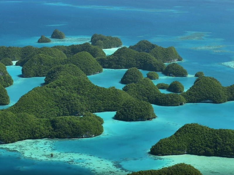 Search for Paradise