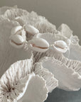 Bracelet-White Shells