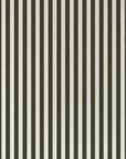 Cushion Cover-Coastal Fringe-Candy Stripe Eucalyptus-60cm x 60cm