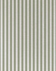 Cushion Cover-With Piping-Candy Stripe Sage-60cm x 60cm